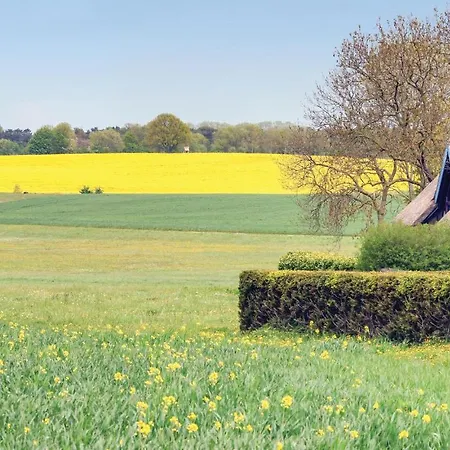 Reetdachhaus 11 Auf Usedom Kutzow