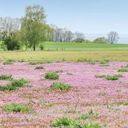 Feriehus Reetdachhaus 11 Auf Usedom
