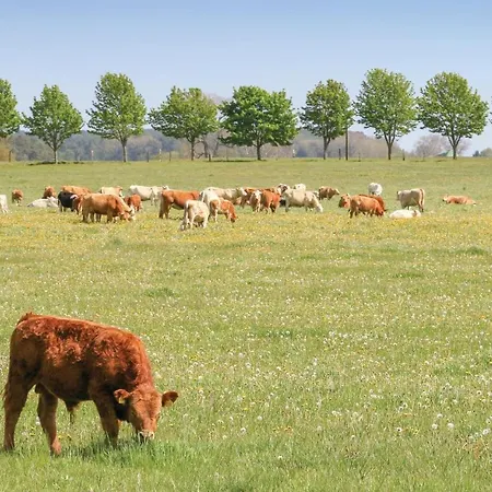 Reetdachhaus 11 Auf Usedom *