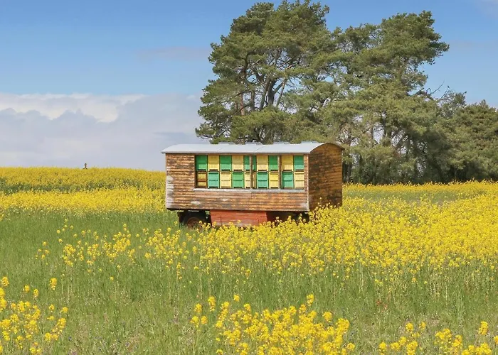Casa vacanze Reetdachhaus 11 Auf Usedom Kutzow